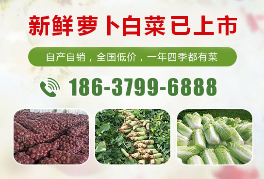 洋葱全生命周期管理技巧